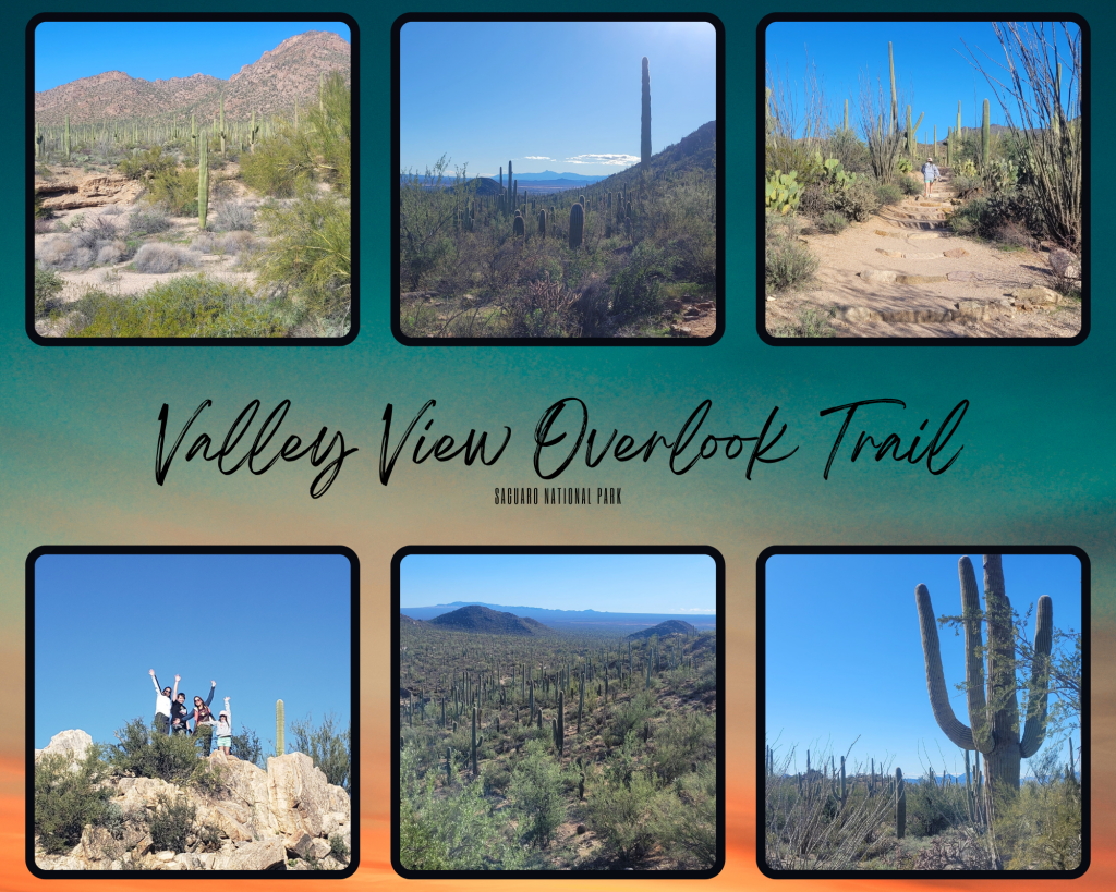 Photos of Valley View Overlook Trail in Saguaro National Park