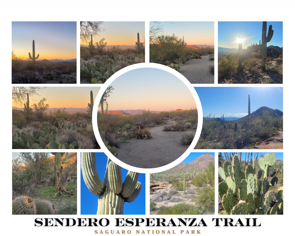 Photos of our hike of Sendero Esperanza Trail at Saguaro National Park