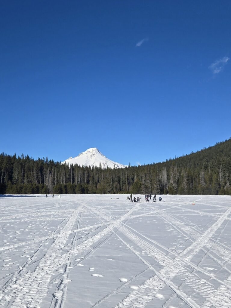 Mt Hood in Background from Frog Lake